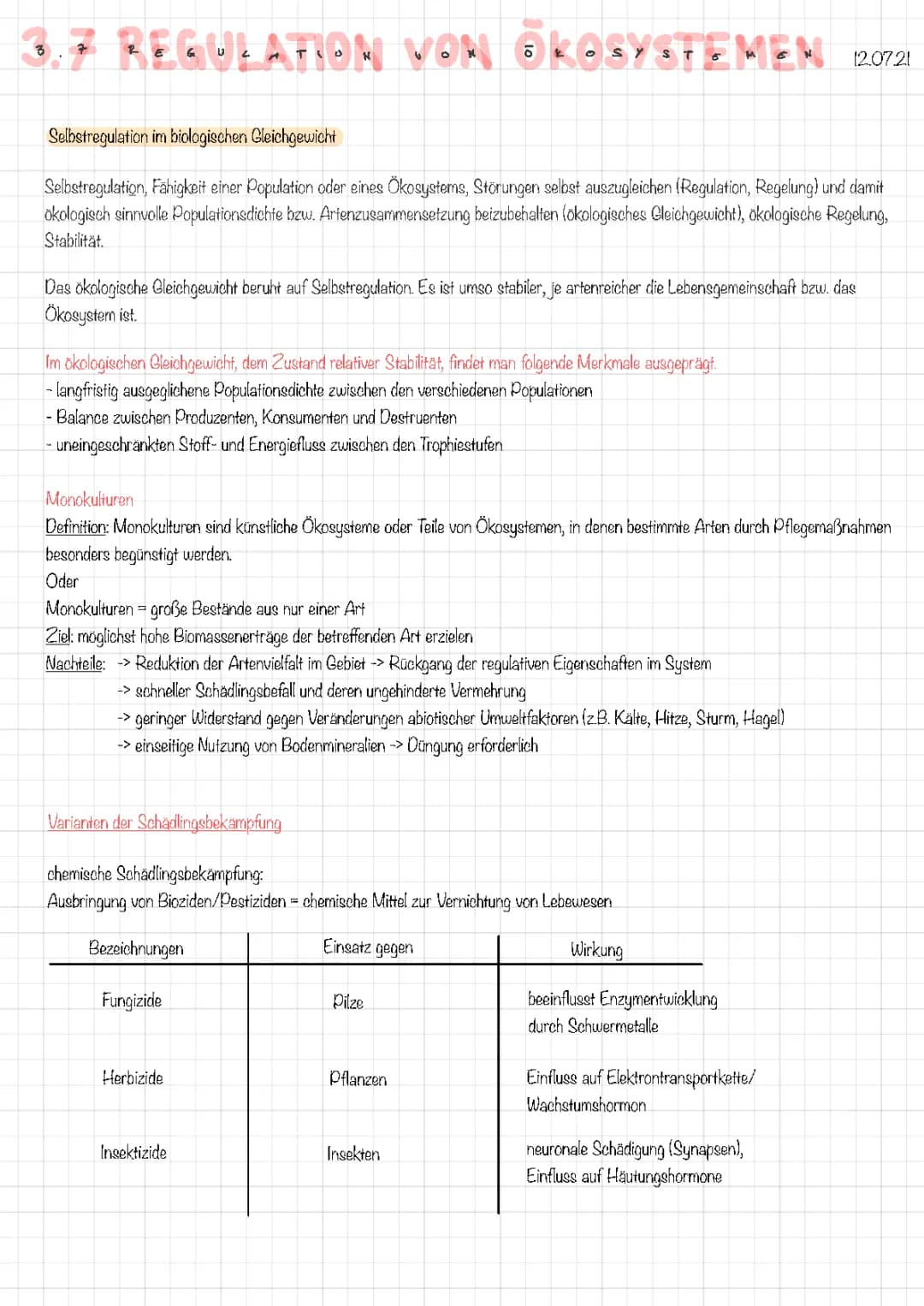 Ökologisches Gleichgewicht für Kinder: Einfach erklärt mit Beispielen