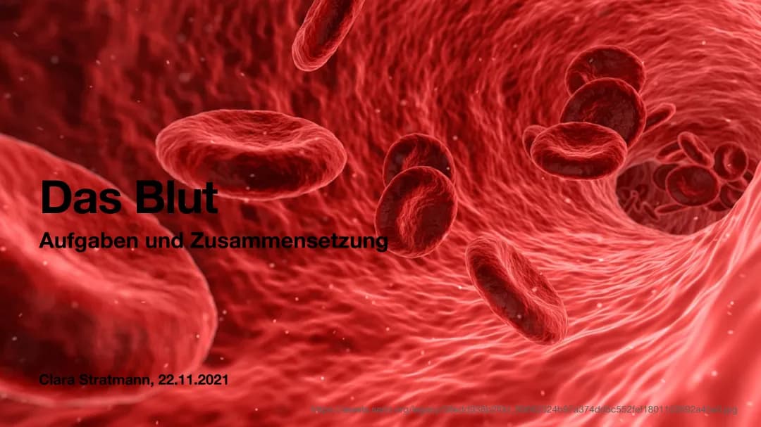 Das Blut 