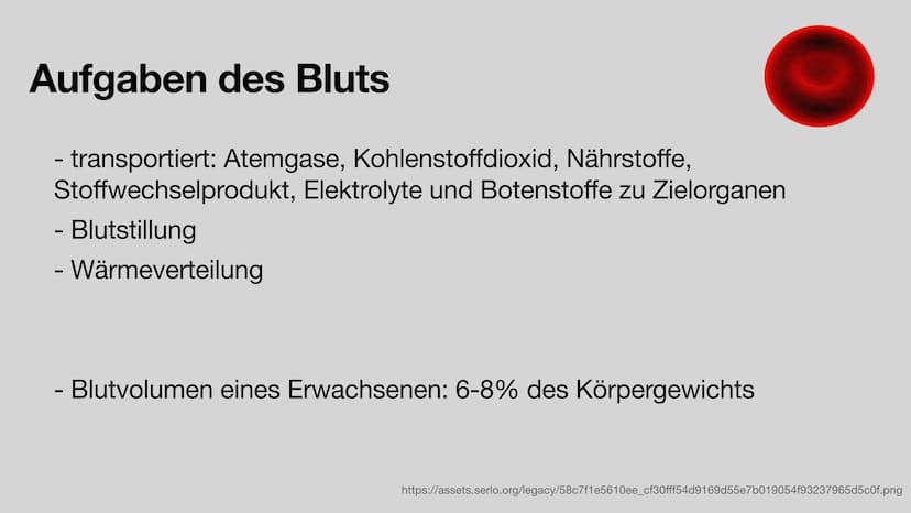 Das Blut
Aufgaben und Zusammensetzung
Clara Stratmann, 22.11.2021
asset ser g/lecer Jeda938620 966 324b9 374dd6c552fef180116 $92a4 20 g Glie