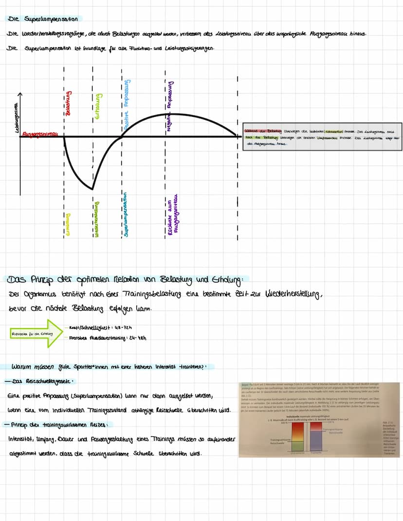 III.
training
ingsgesetze
Was sind Trainingsgesetze und was Prinzipien?
Trainingsgesetce = allgemeine hesetemäßigheiten, clenen Trainingspro