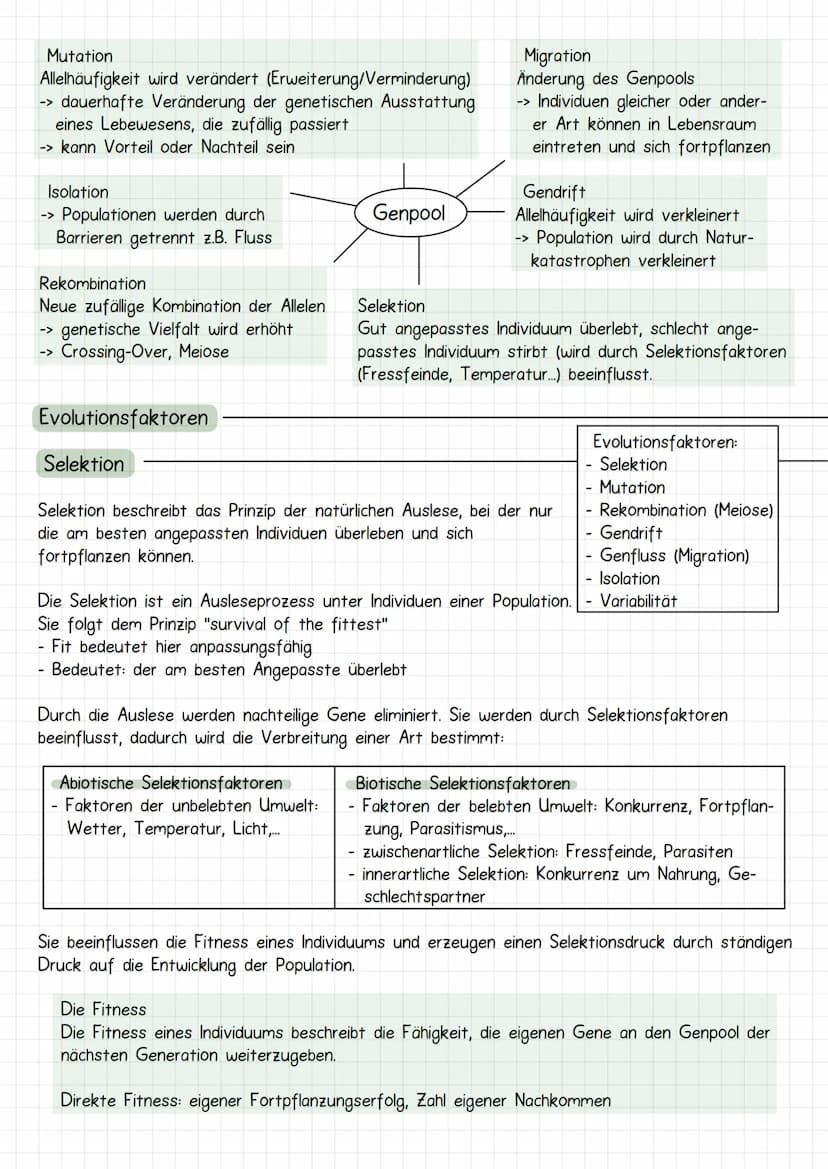 Evolutia
Evolution nach Lamarck
Schrittweise aktive Anpassung der Arten an ihre Umwelt durch Vererbung erworbener
Eigenschaften: Artwandel, 