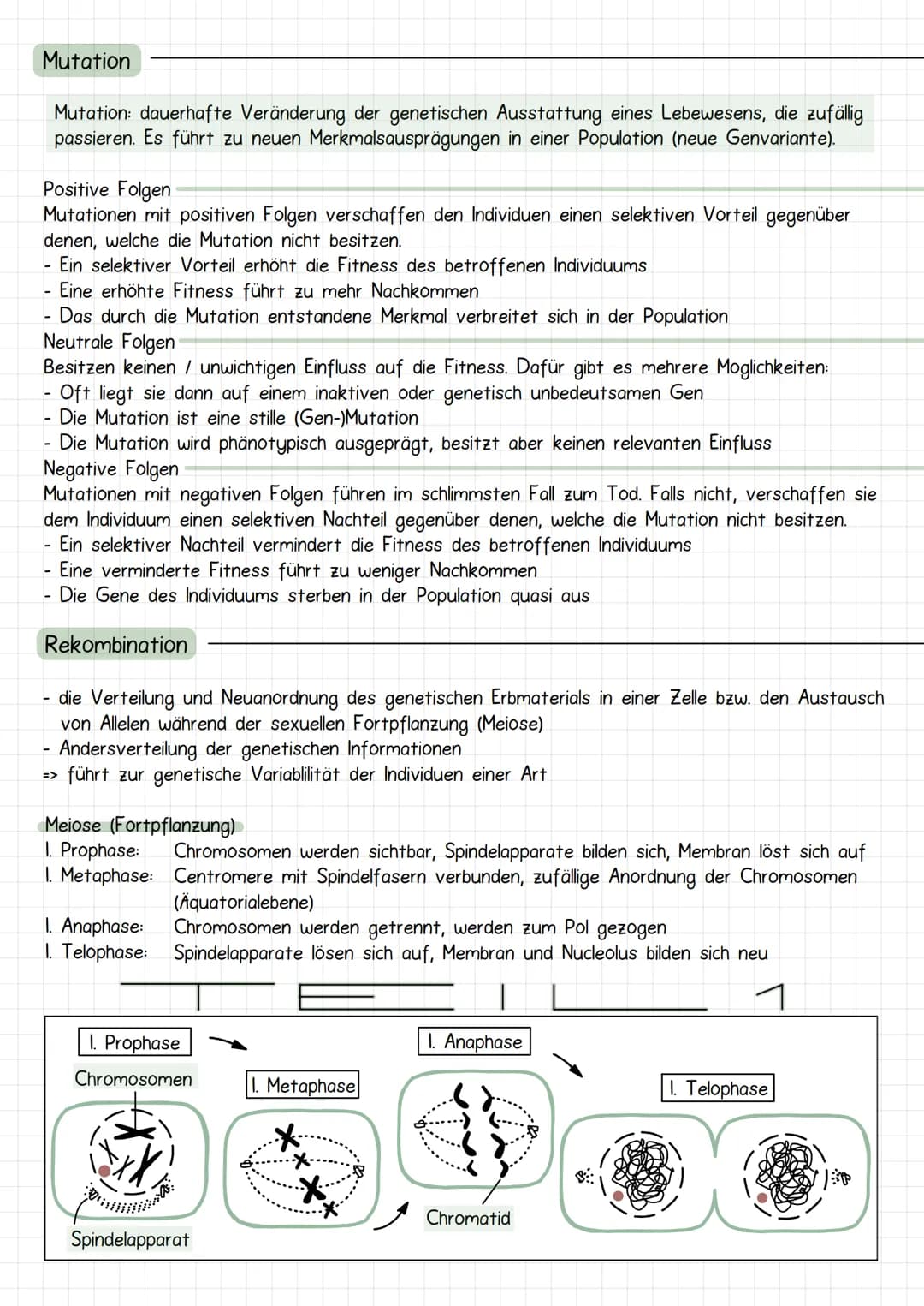 Evolutia
Evolution nach Lamarck
Schrittweise aktive Anpassung der Arten an ihre Umwelt durch Vererbung erworbener
Eigenschaften: Artwandel, 