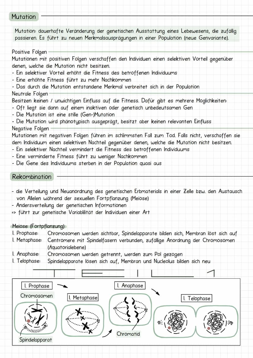 Evolutia
Evolution nach Lamarck
Schrittweise aktive Anpassung der Arten an ihre Umwelt durch Vererbung erworbener
Eigenschaften: Artwandel, 