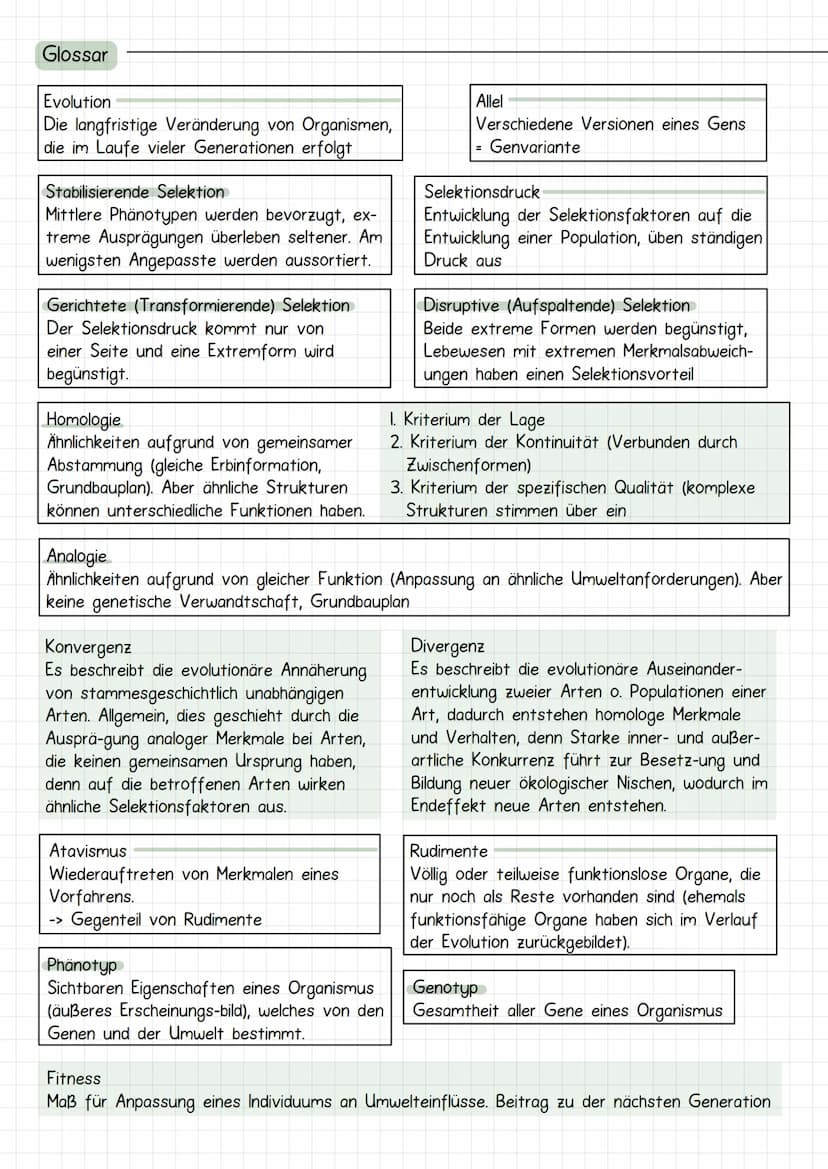 Evolutia
Evolution nach Lamarck
Schrittweise aktive Anpassung der Arten an ihre Umwelt durch Vererbung erworbener
Eigenschaften: Artwandel, 
