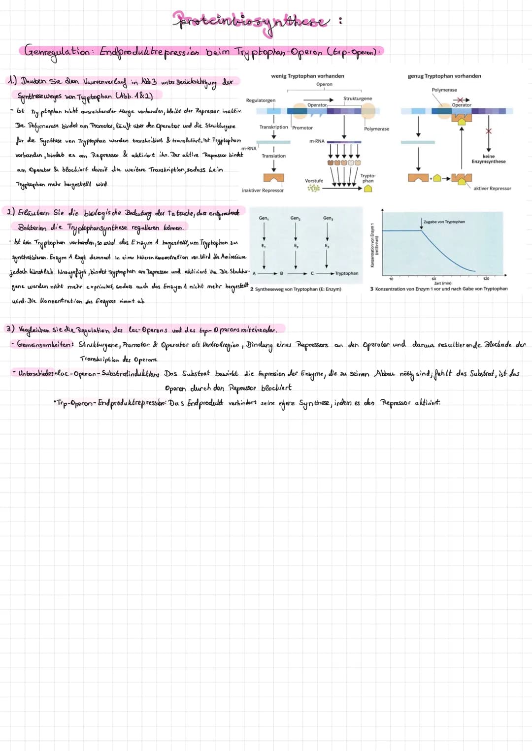  Merkmale:
- kein Zellkern.
Prokaryot
Ribosomen 705
DNA. ringformig, nicht on Proteine gebunden frei im I
Vermehrung: Teilung
・genetische In