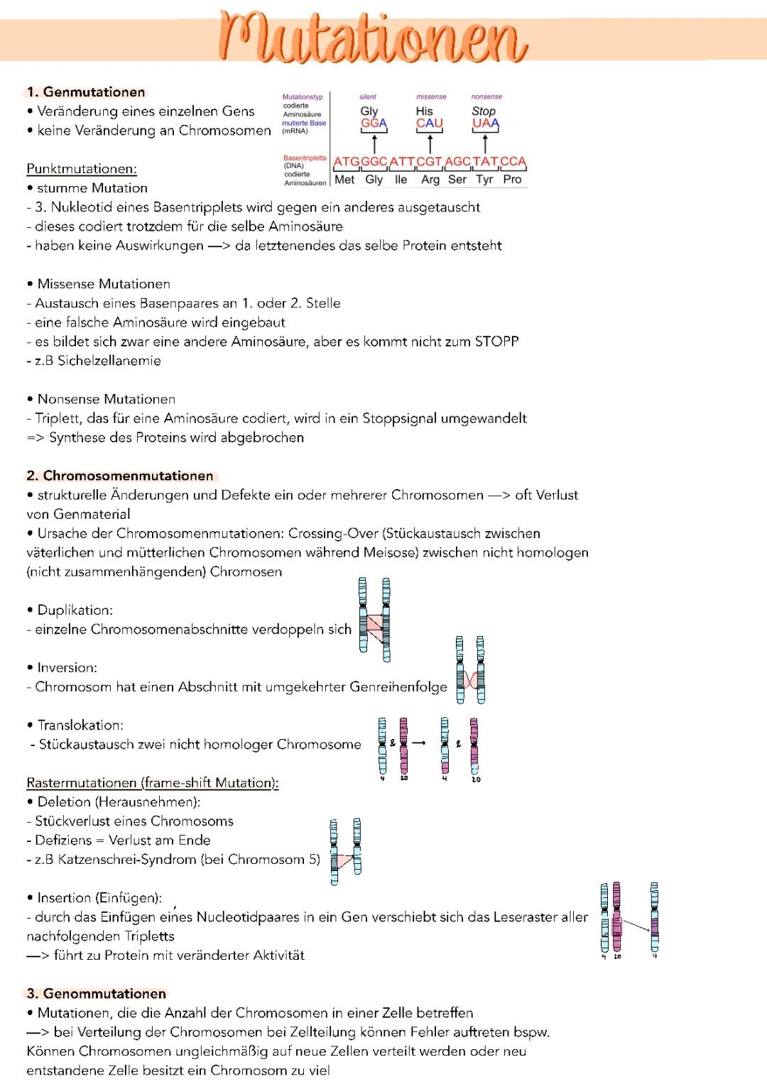 Was sind Genmutationen und Chromosomenmutationen? Einfache Beispiele und Ursachen