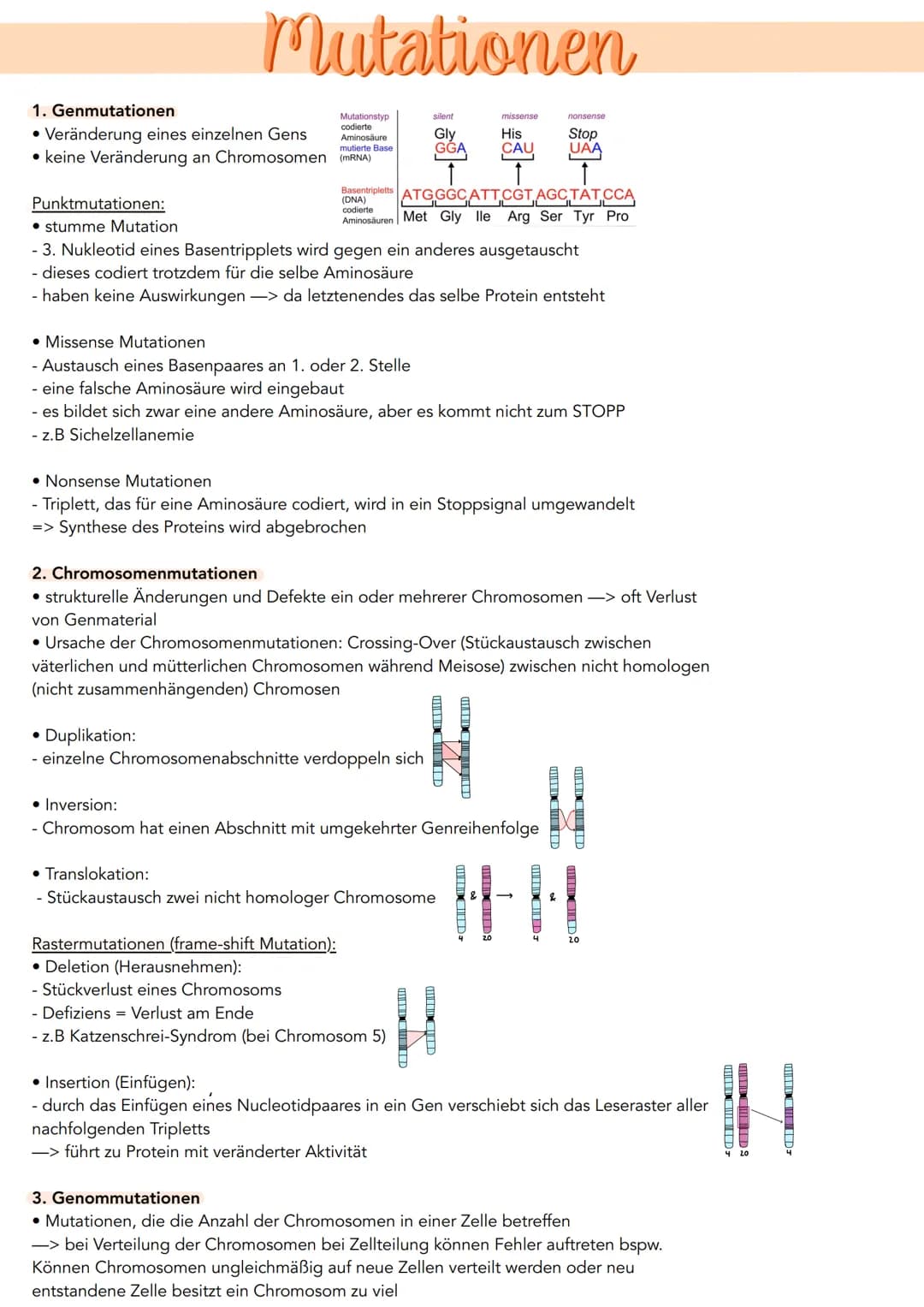 Mutationen
1. Genmutationen
• Veränderung eines einzelnen Gens
Mutationstyp
codierte
Aminosäure
mutierte Base
• keine Veränderung an Chromos