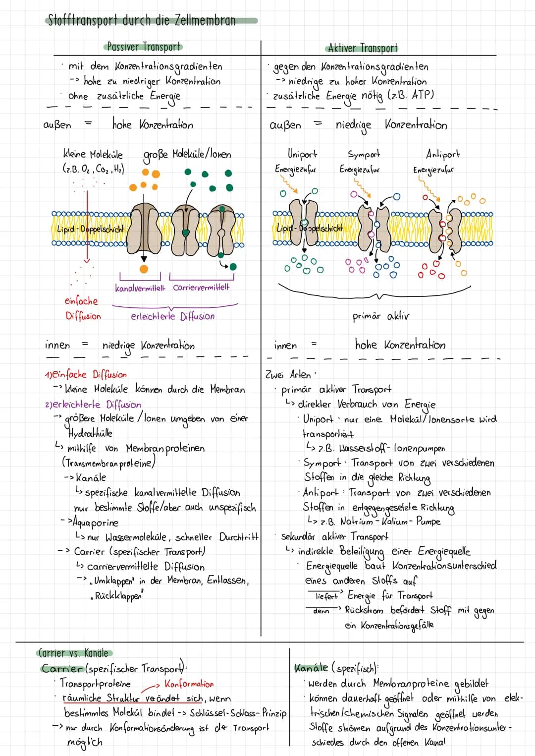 Wdh. Osmose und Diffusion
1) Diffusion
1.1 Erklärung
Bedeutung
*
Beispiel Tinte in Wasser
-Tinte
klares Wasser
O
O
(1)
o
0
Klausur Biologie 