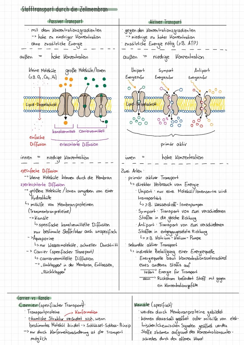 Wdh. Osmose und Diffusion
1) Diffusion
1.1 Erklärung
Bedeutung
*
Beispiel Tinte in Wasser
-Tinte
klares Wasser
O
O
(1)
o
0
Klausur Biologie 