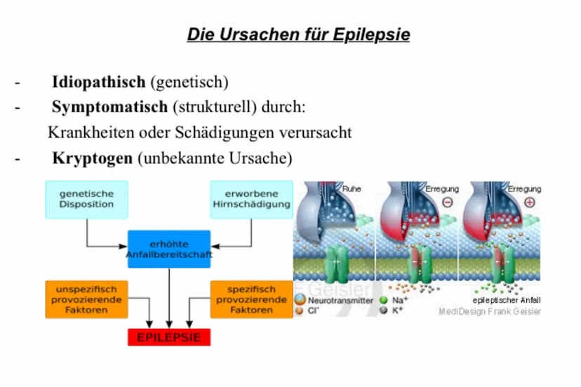 EPILEPSIE 6.
1.
5.
INHALTSVERZEICHNIS:
Definition von Epilepsie
Ursachen
Arten und Phasen
Behandlung
Erste Hilfe - Was tun bei einem Krampfa