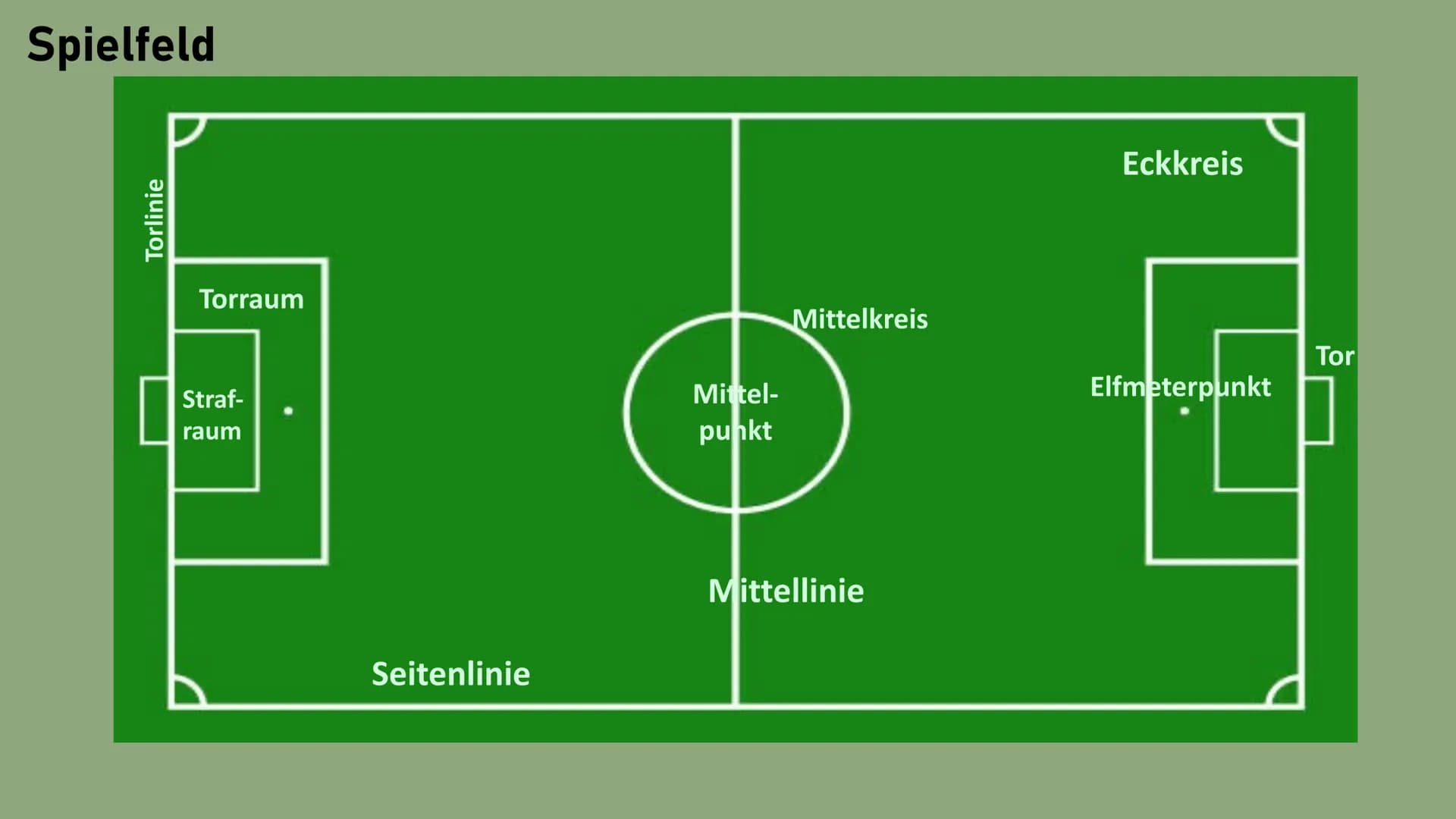 Fußball Gliederung
1. Allgemein
2. Spielfeld
3. Spielpositionen
4. Die wichtigsten Regeln
5. Rote und gelbe Karte Was ist Fußball?
●
Ballspo