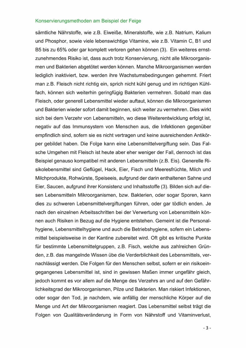 BBS 1 Uelzen
Berufliches Gymnasium - Gesundheit und Soziales
Schwerpunkt Ökotrophologie
Facharbeit zum Thema: Konservierungsmethoden am Beis