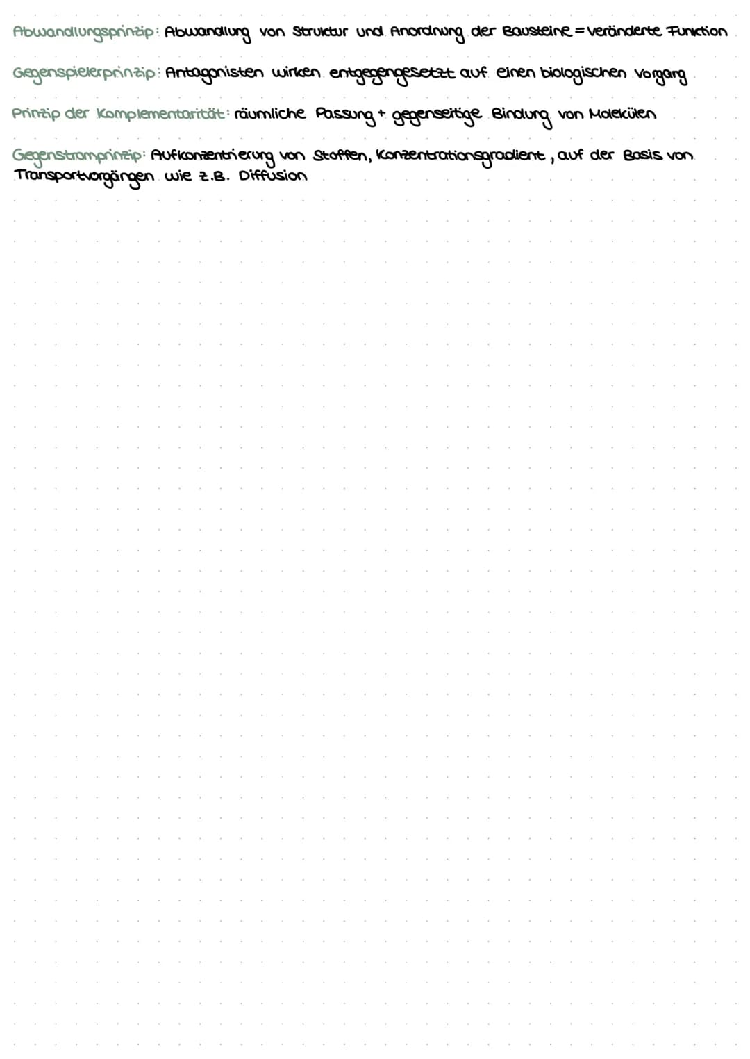 LEDNZETTCI ЕЛТАСУМІТЦЕС С
fotosynthese
LLININELTILL PUTUSPINITIL SL.
ettel
BIFAZIALES LAUBBLATT:
Xylem Phloem
ONI
Sklerenchym-
Atem- scheide
