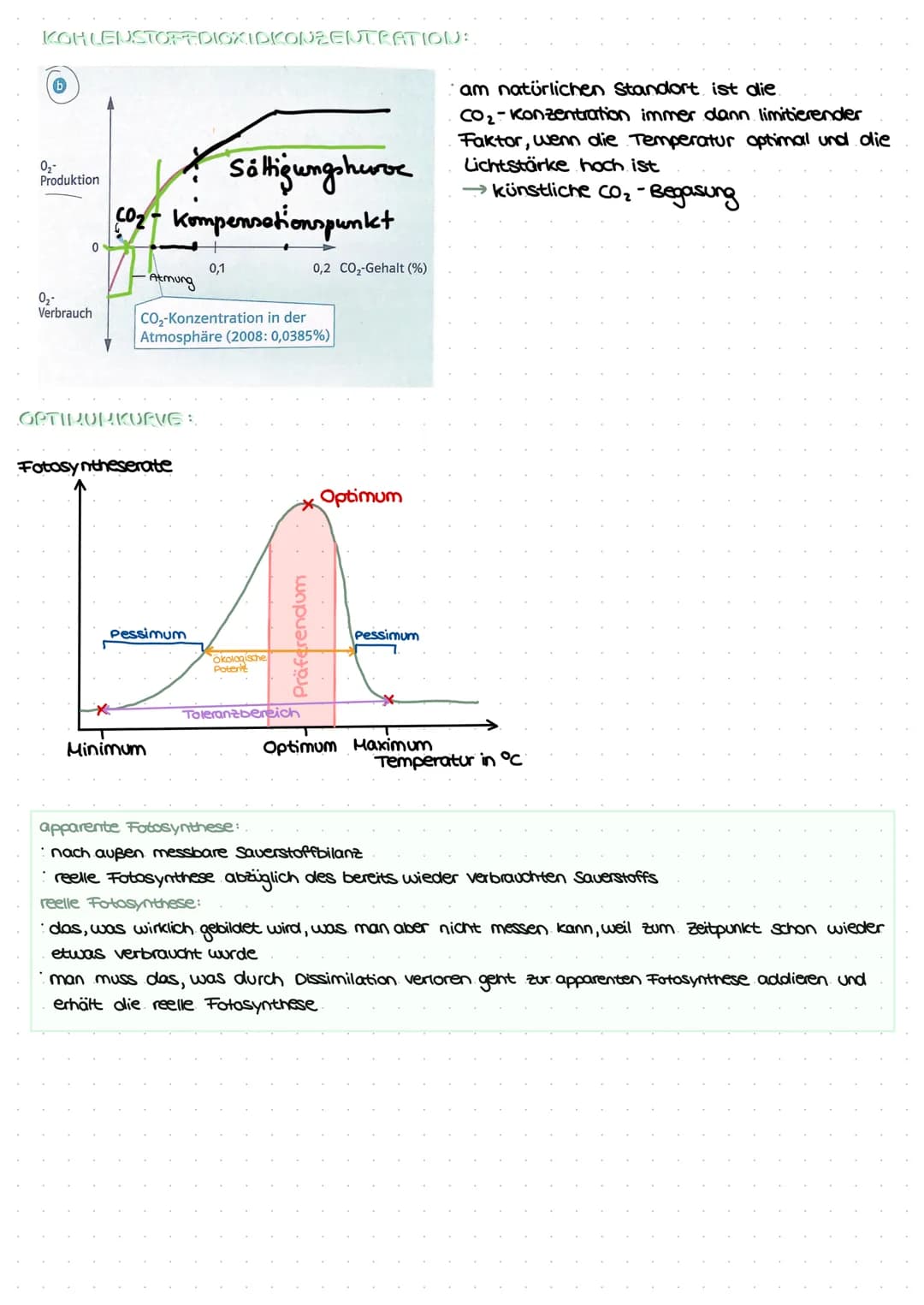 LEDNZETTCI ЕЛТАСУМІТЦЕС С
fotosynthese
LLININELTILL PUTUSPINITIL SL.
ettel
BIFAZIALES LAUBBLATT:
Xylem Phloem
ONI
Sklerenchym-
Atem- scheide