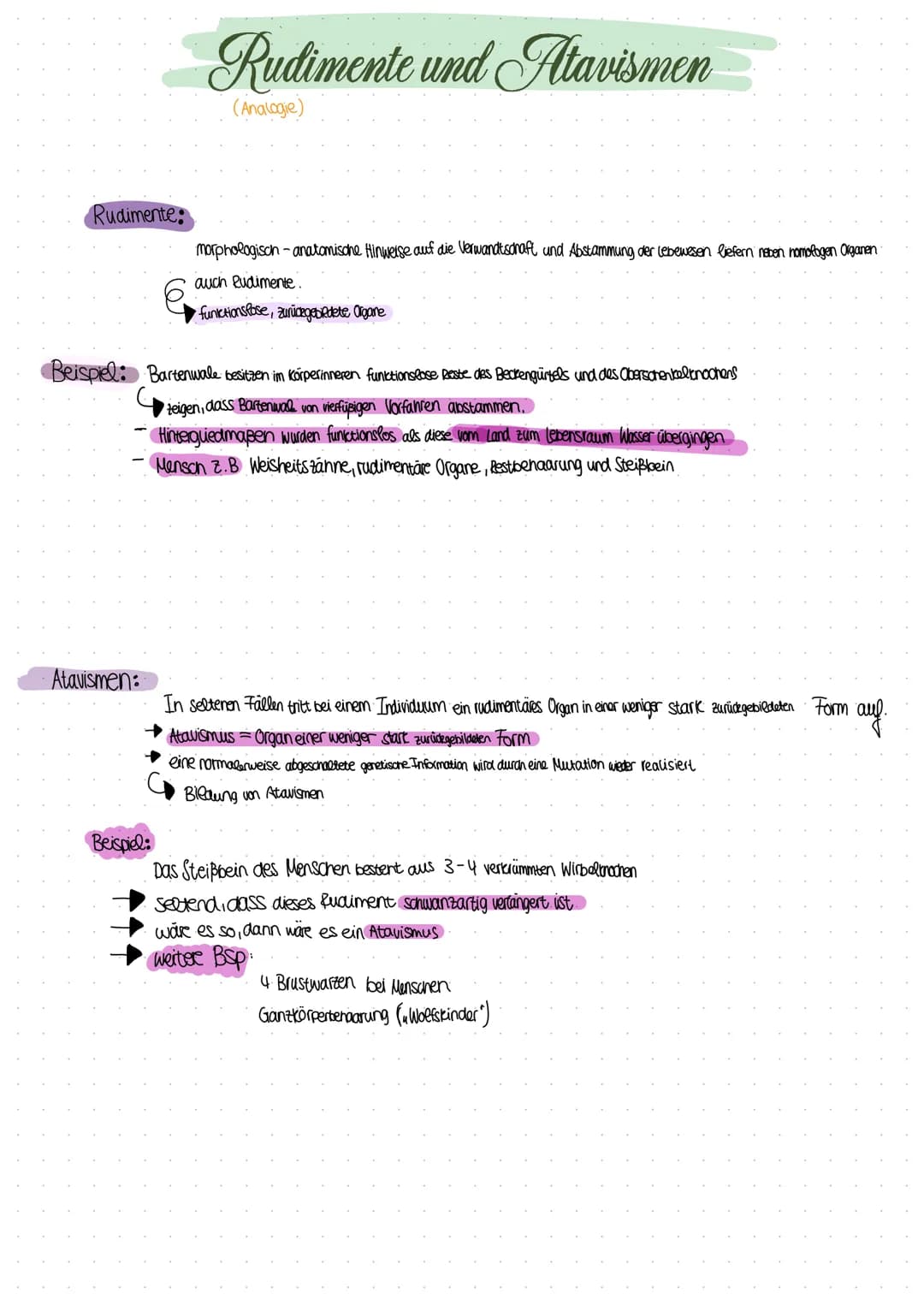 Rudimente:
Atavismen:
Rudimente und Atavismen
(Analogie)
Beispiel: Bartenwale besitzen im Körperinneren funktionslose Reste des Beckengürtel