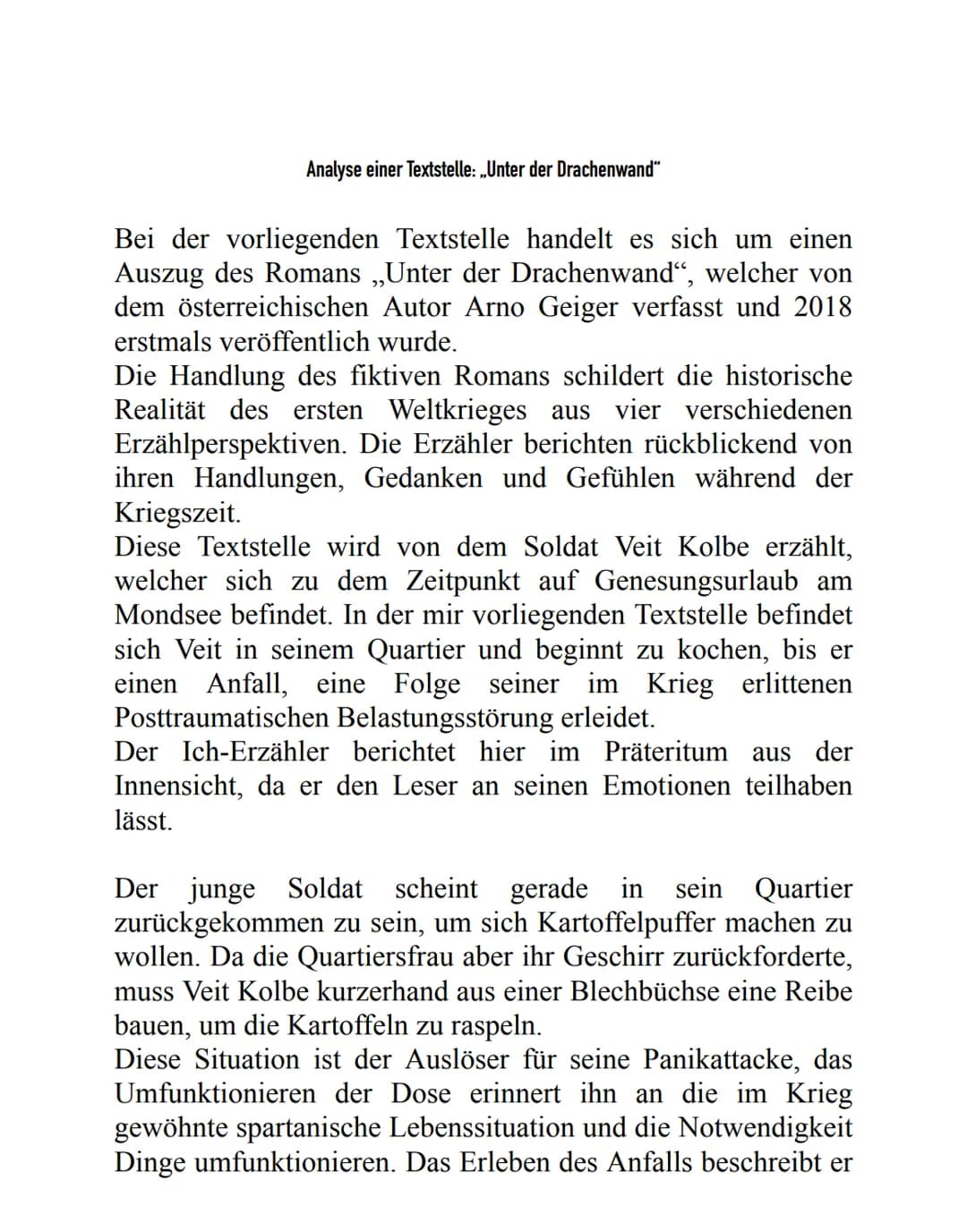 Analyse einer Textstelle: „Unter der Drachenwand“
Bei der vorliegenden Textstelle handelt es sich um einen
Auszug des Romans „Unter der Drac