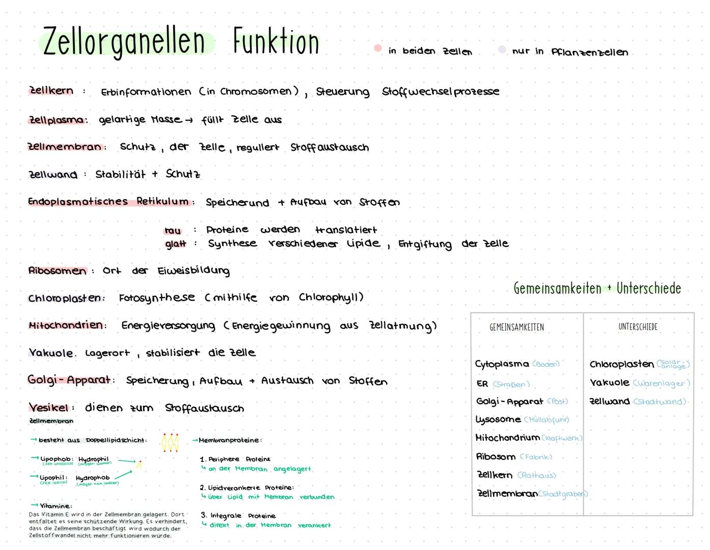 1. Kennzeichen des Lebens.
Biologie Klausur
Bewegung Cmuss sich aus eigener kraft bewegen)
Reizbarkeit Creagiert auf. Reize der Umwelt).
For