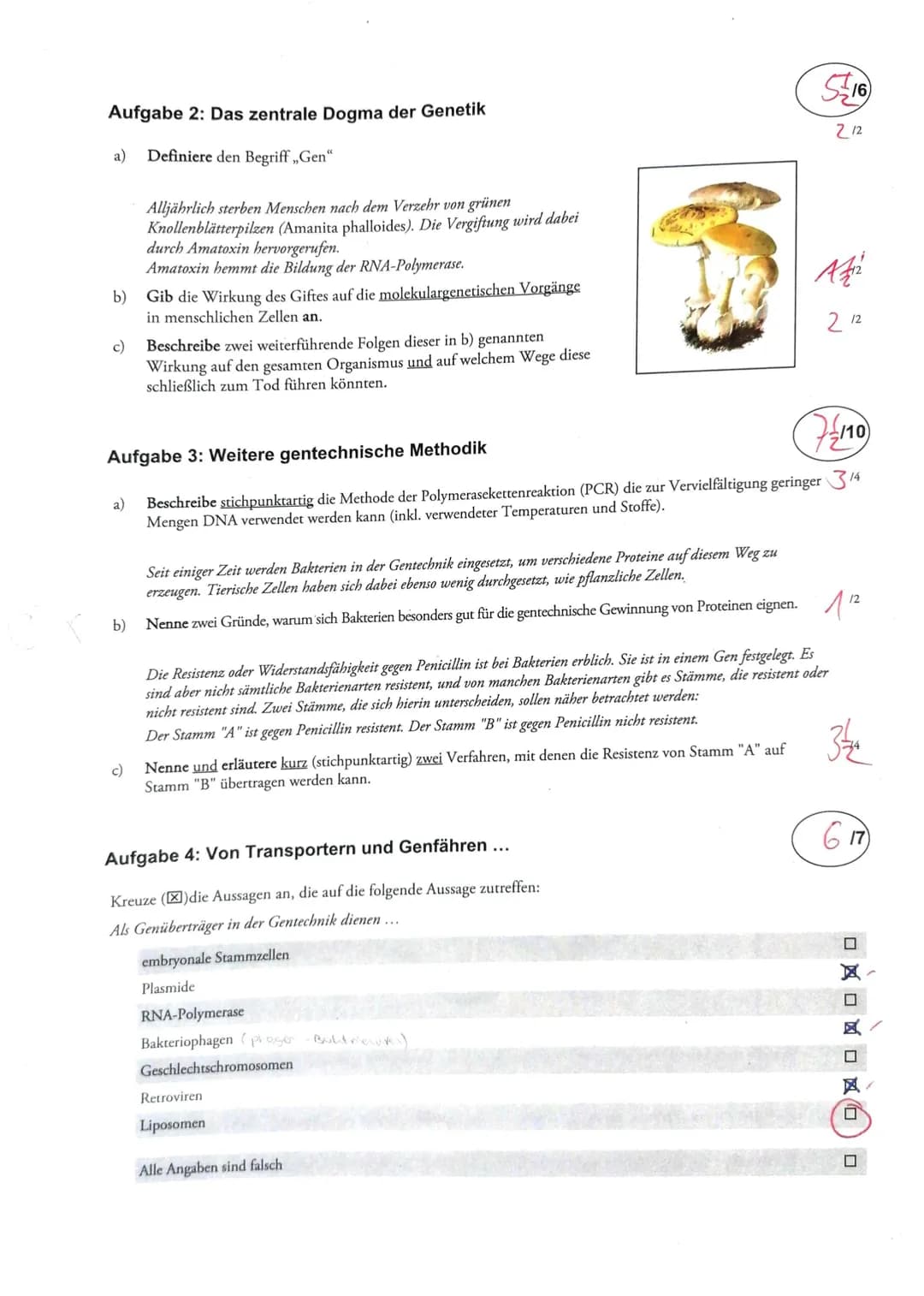 4. SON
2. Sch
3. St
3
RN/
J
RA
a)
b)
Aufgabe 1: Proteinbiosynthese
Benenne die mit ,,Schritt 1" bis ,,Schritt 3" beschrifteten Prozesse.
Ord