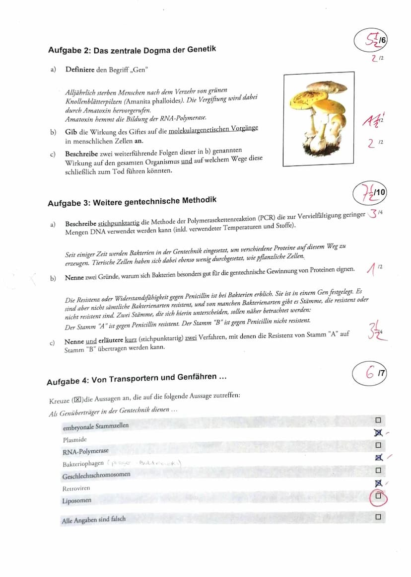 4. SON
2. Sch
3. St
3
RN/
J
RA
a)
b)
Aufgabe 1: Proteinbiosynthese
Benenne die mit ,,Schritt 1" bis ,,Schritt 3" beschrifteten Prozesse.
Ord