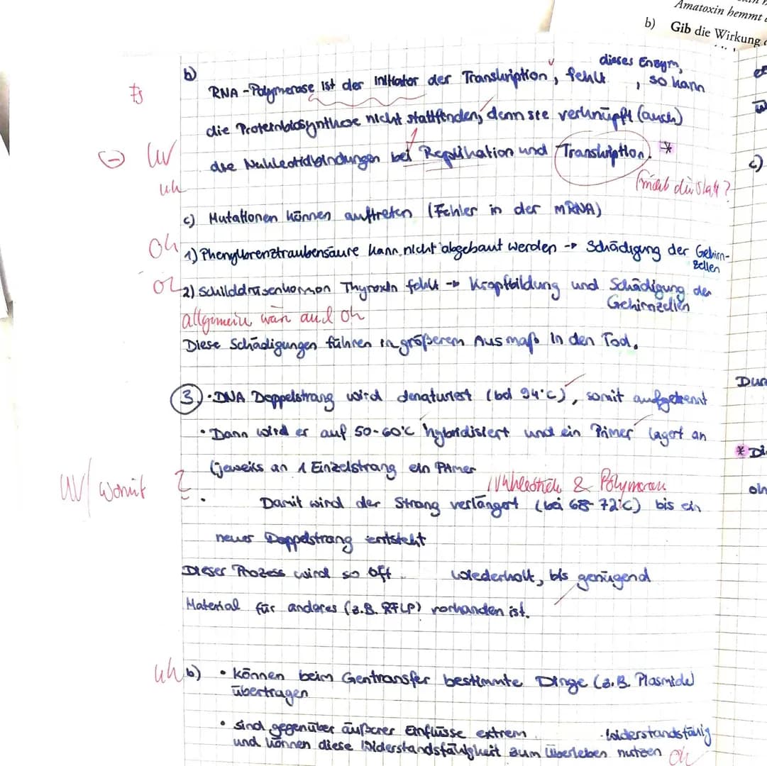 4. SON
2. Sch
3. St
3
RN/
J
RA
a)
b)
Aufgabe 1: Proteinbiosynthese
Benenne die mit ,,Schritt 1" bis ,,Schritt 3" beschrifteten Prozesse.
Ord