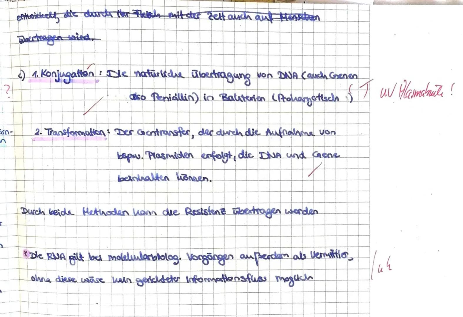 4. SON
2. Sch
3. St
3
RN/
J
RA
a)
b)
Aufgabe 1: Proteinbiosynthese
Benenne die mit ,,Schritt 1" bis ,,Schritt 3" beschrifteten Prozesse.
Ord