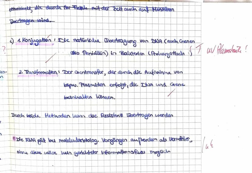4. SON
2. Sch
3. St
3
RN/
J
RA
a)
b)
Aufgabe 1: Proteinbiosynthese
Benenne die mit ,,Schritt 1" bis ,,Schritt 3" beschrifteten Prozesse.
Ord