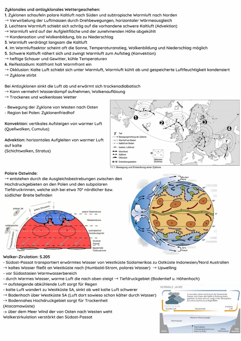 Atmosphäre
-> An der Erdrotation teilnehmende gasförmige Hülle
der Erde. Sie wird durch die Schwerkraft der Erde
beeinflusst
-> Dichte nimmt