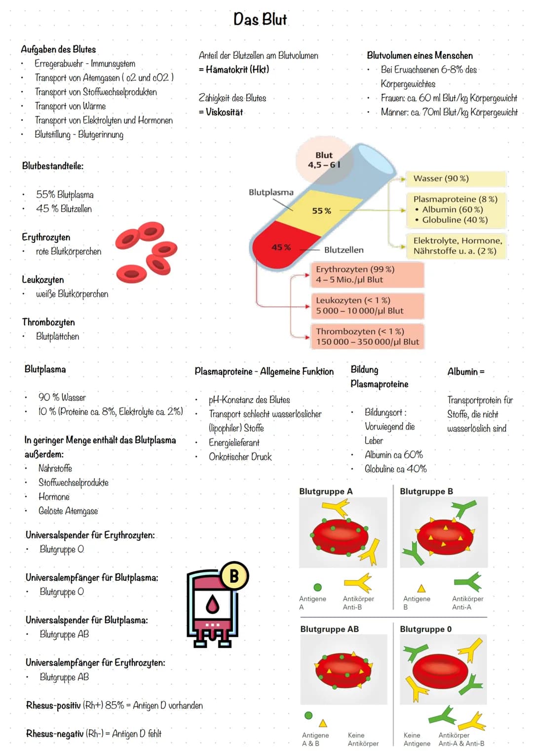 Aufgaben des Blutes
Erregerabwehr - Immunsystem
Transport von Atemgasen (02 und c02)
Transport von Stoffwechselprodukten
Transport von Wärme