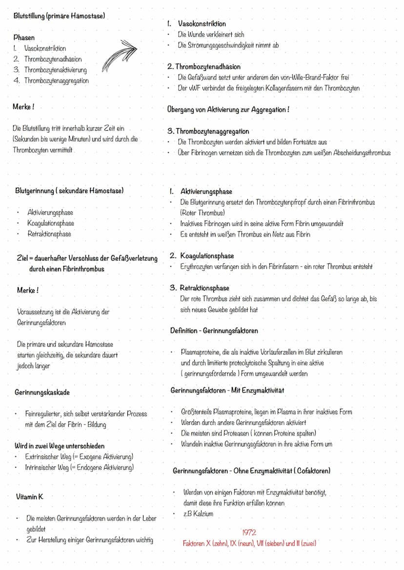 Aufgaben des Blutes
Erregerabwehr - Immunsystem
Transport von Atemgasen (02 und c02)
Transport von Stoffwechselprodukten
Transport von Wärme
