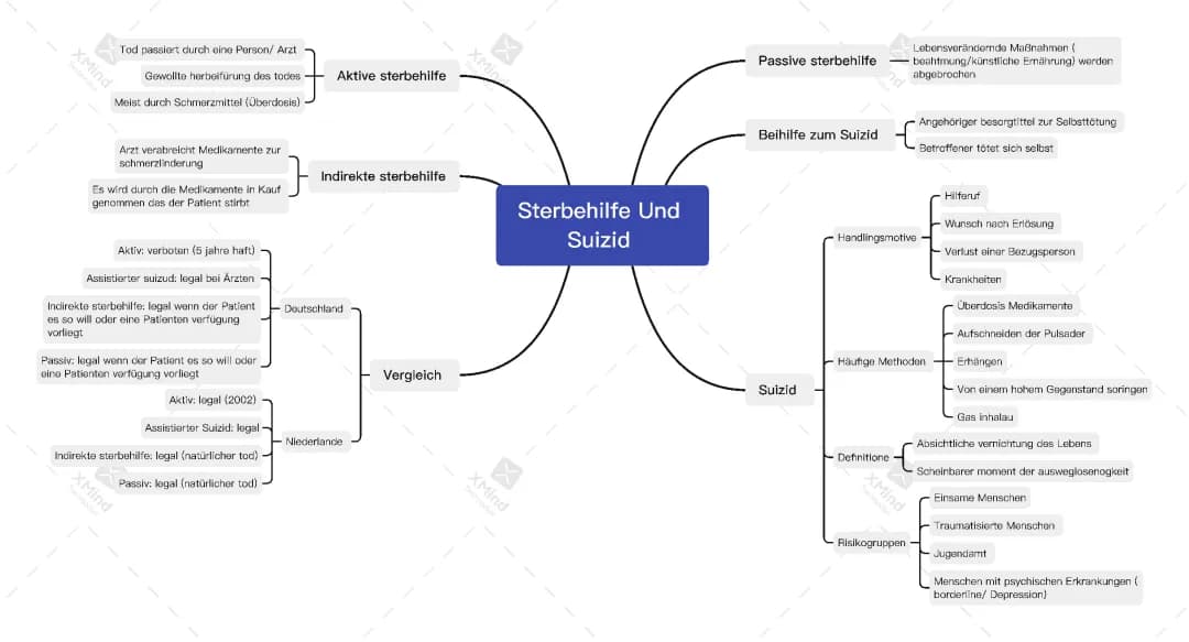 Mindmap zur Sterbehilfe und Suizid