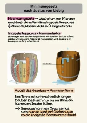 Know Minimumgesetz nach Justus von Liebig thumbnail