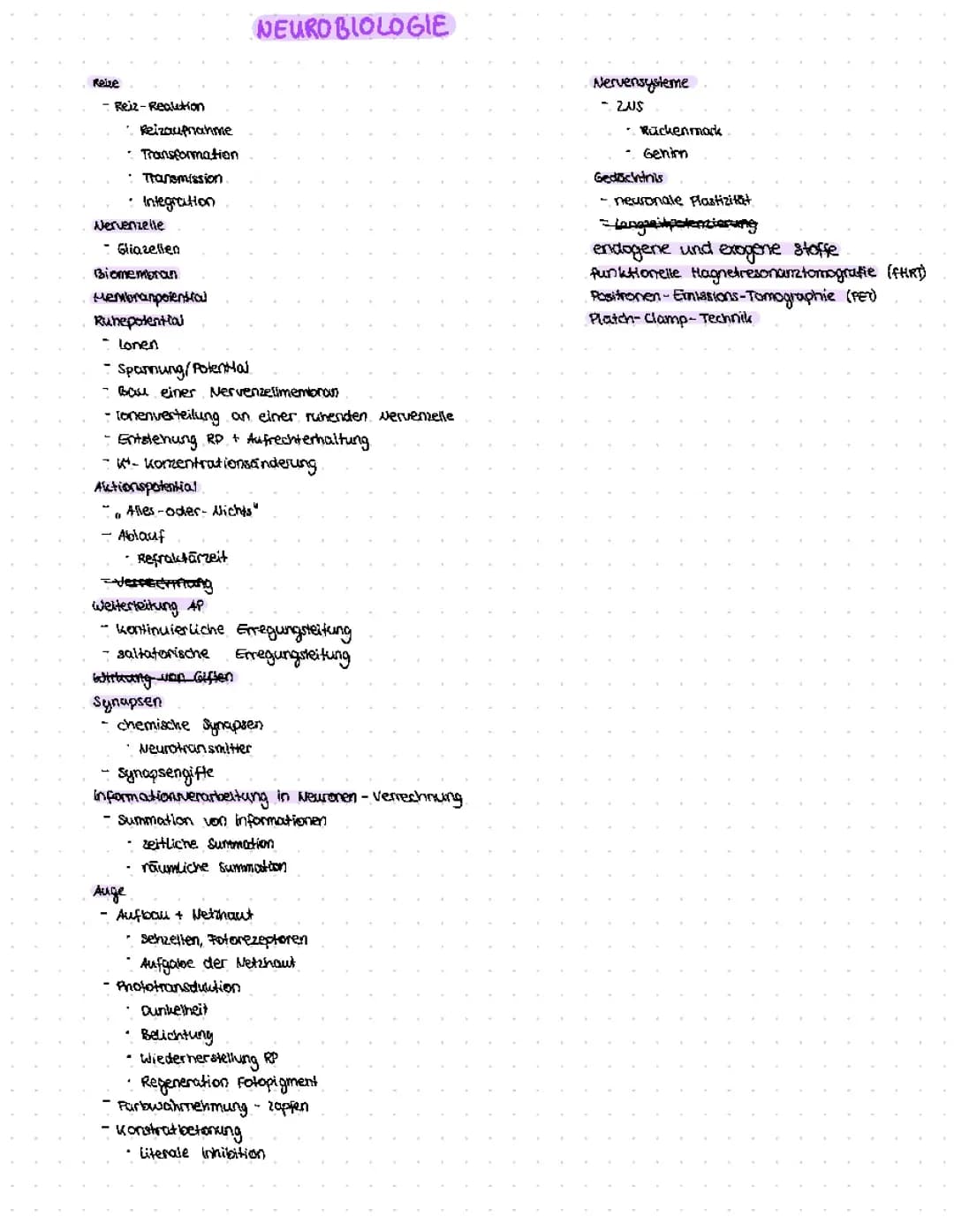 Abitur 23 Neurobiologie Lernzettel 
