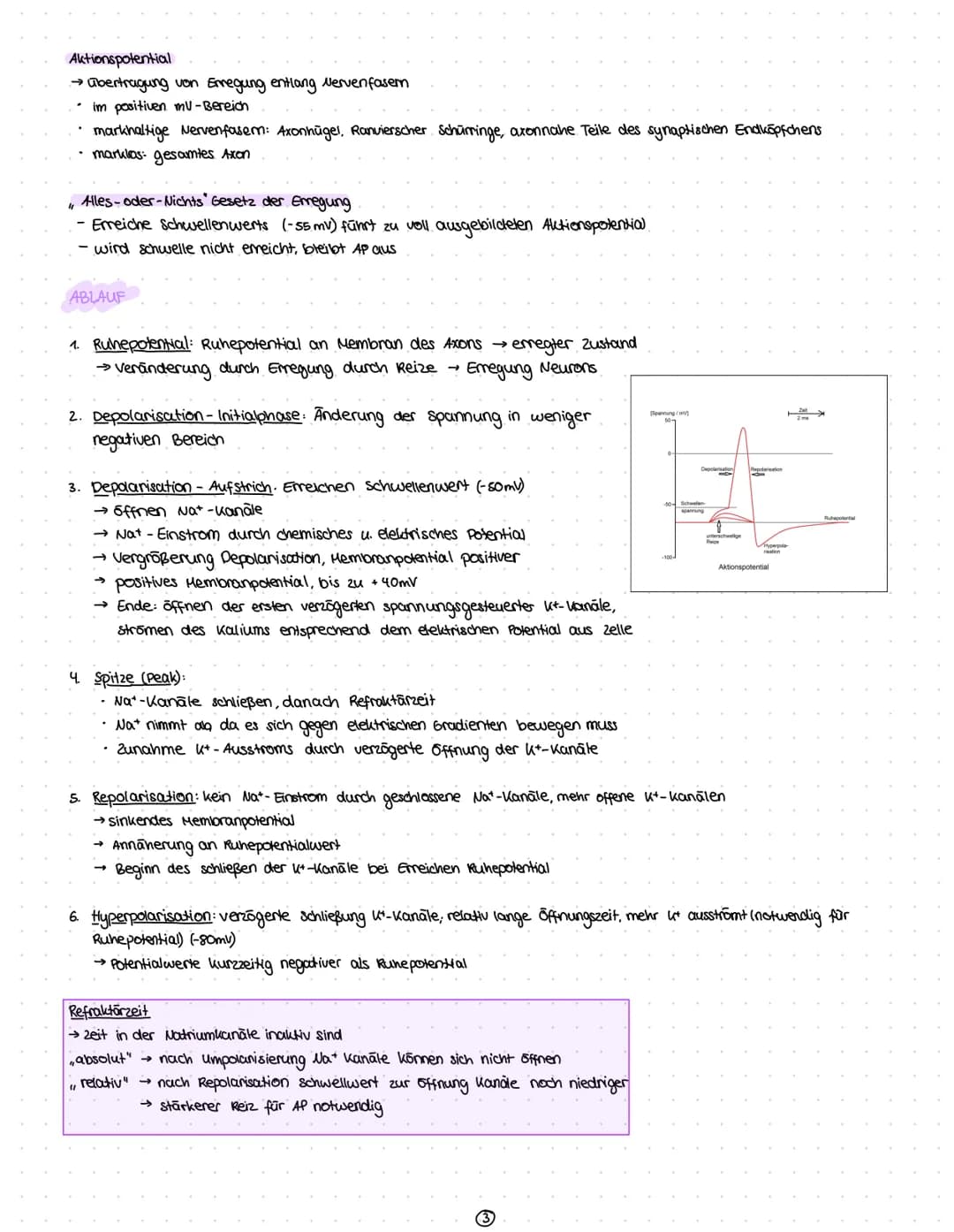 Reize
Reiz-Reaktion
Reizaufnahme
• Transformation.
Transmission
Integration
Nervenzelle
Gliazellen
Biomembran
Membranpotential
Ruhepotential