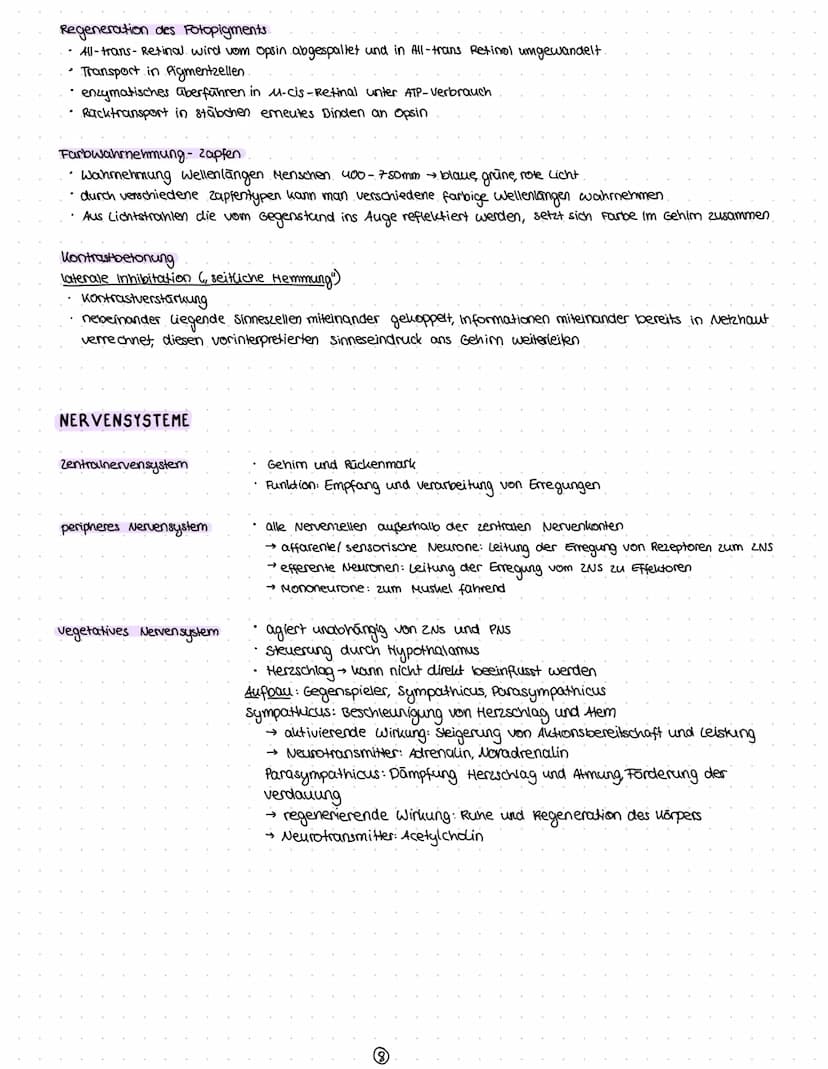 Reize
Reiz-Reaktion
Reizaufnahme
• Transformation.
Transmission
Integration
Nervenzelle
Gliazellen
Biomembran
Membranpotential
Ruhepotential