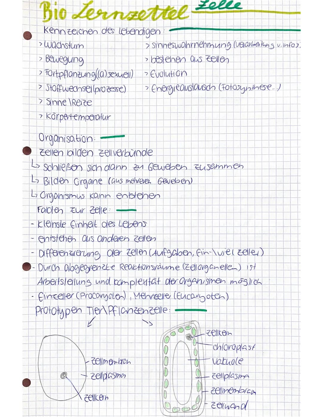 Bio Lernzettel
Kennzeichen des Lebendigen
> Wachstum
> Bewegung
> Fortpflanzung ((a) sexuell) > Evolution
> Stoffwechsellprozesse)
> Sinne R