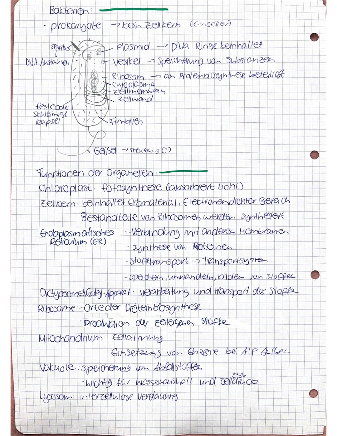 Bio Lernzettel
Kennzeichen des Lebendigen
> Wachstum
> Bewegung
> Fortpflanzung ((a) sexuell) > Evolution
> Stoffwechsellprozesse)
> Sinne R