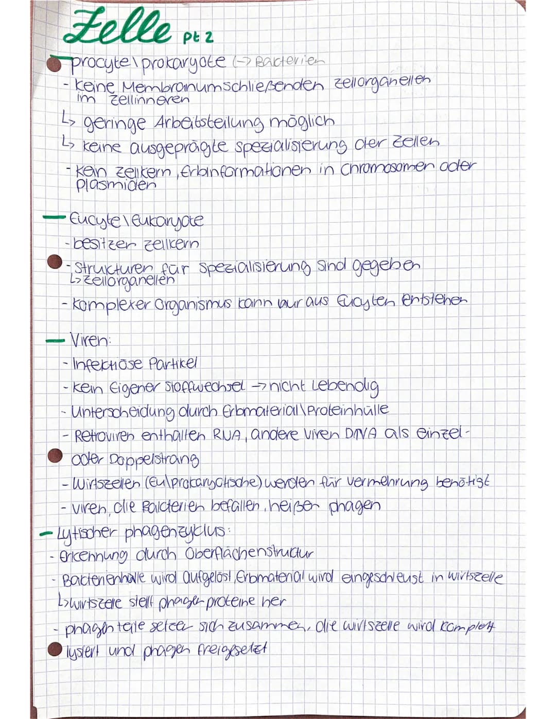 Bio Lernzettel
Kennzeichen des Lebendigen
> Wachstum
> Bewegung
> Fortpflanzung ((a) sexuell) > Evolution
> Stoffwechsellprozesse)
> Sinne R