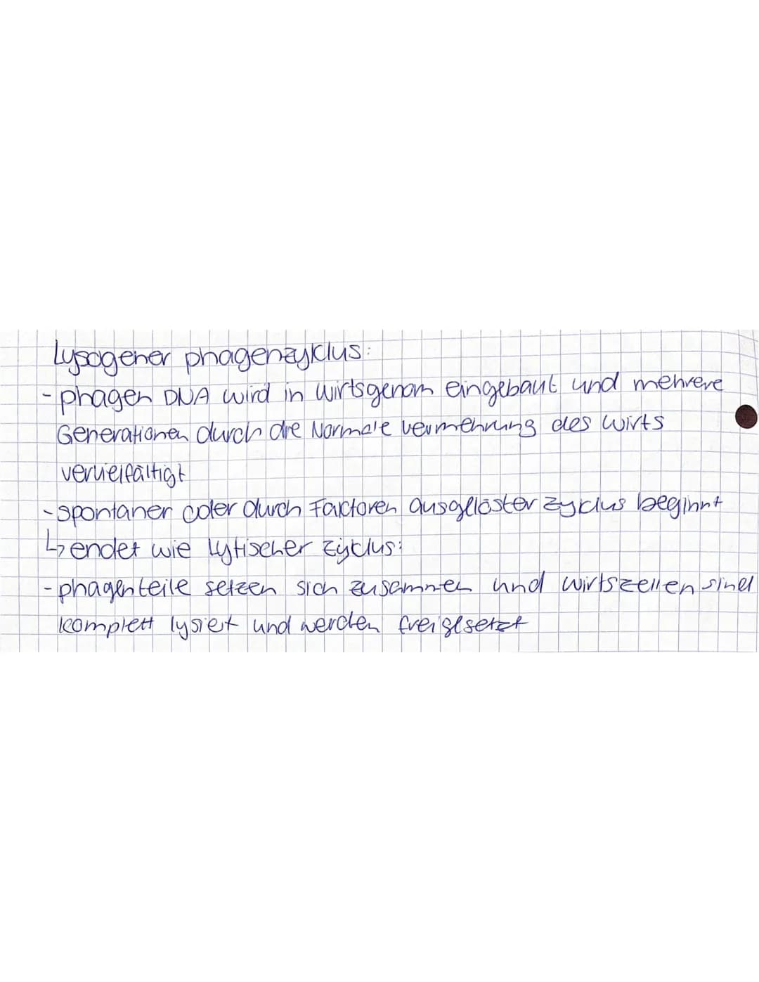 Bio Lernzettel
Kennzeichen des Lebendigen
> Wachstum
> Bewegung
> Fortpflanzung ((a) sexuell) > Evolution
> Stoffwechsellprozesse)
> Sinne R