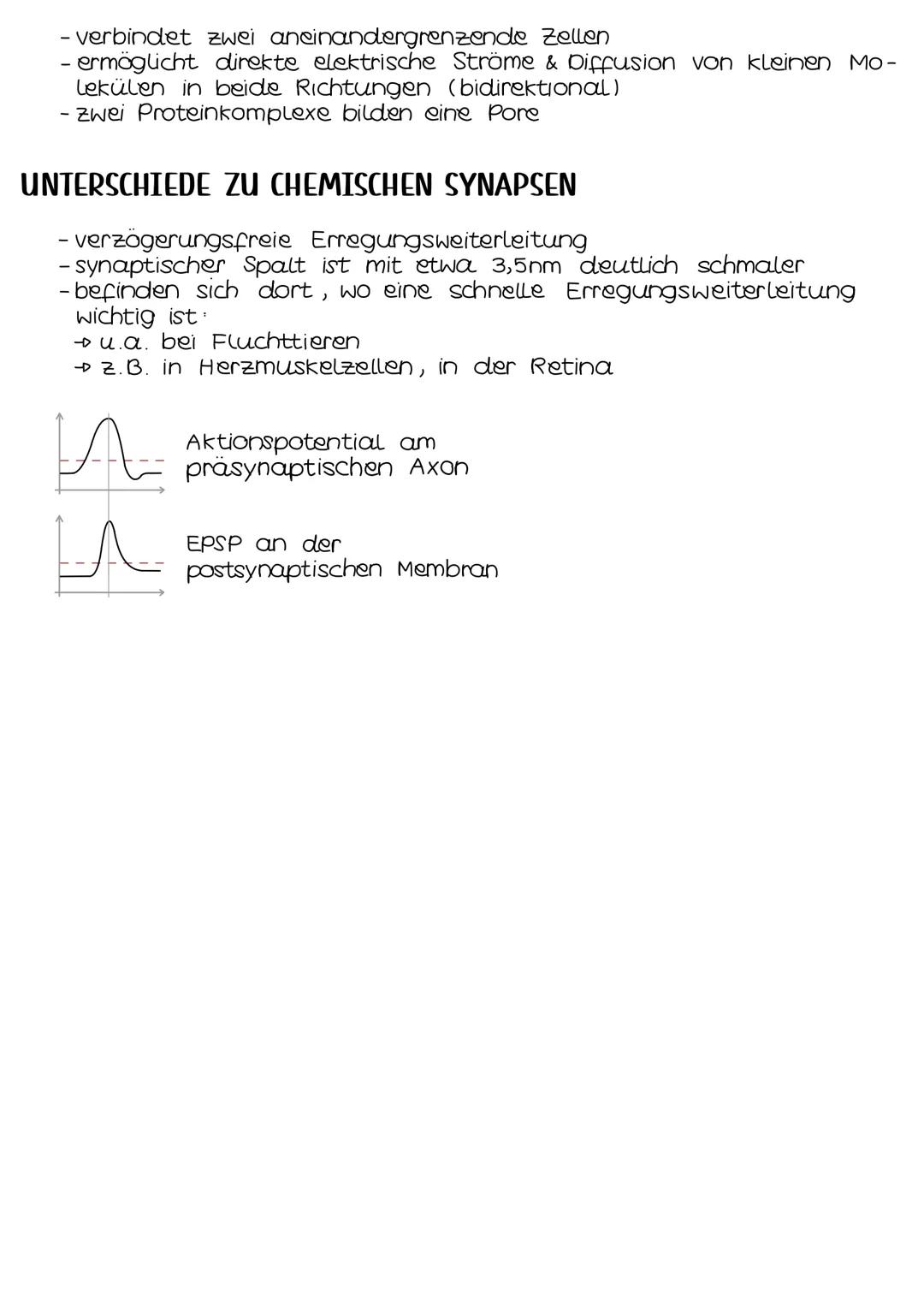 Neurobio-
logie AUFBAU DES AUGES
Linsenbänder
(zanulafasern)
Linse
vordere
Augenkammer
Pupille
4-64mm ²
Kornea
(Hornhaut)
Iris
hintere
Augen