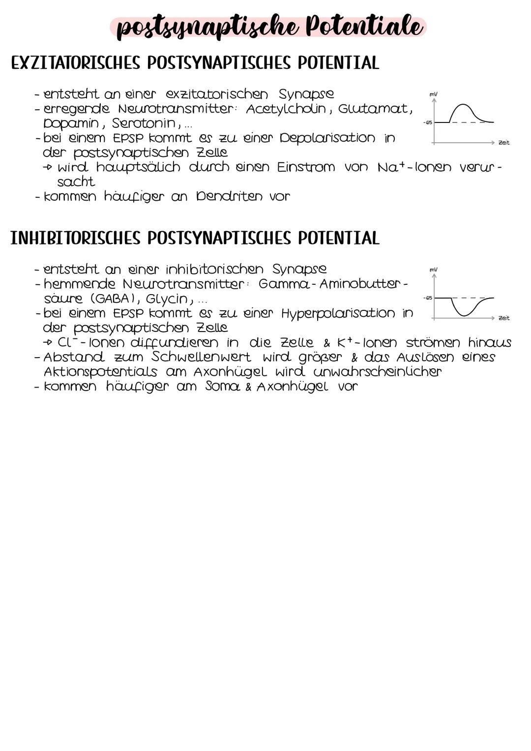 Neurobio-
logie AUFBAU DES AUGES
Linsenbänder
(zanulafasern)
Linse
vordere
Augenkammer
Pupille
4-64mm ²
Kornea
(Hornhaut)
Iris
hintere
Augen