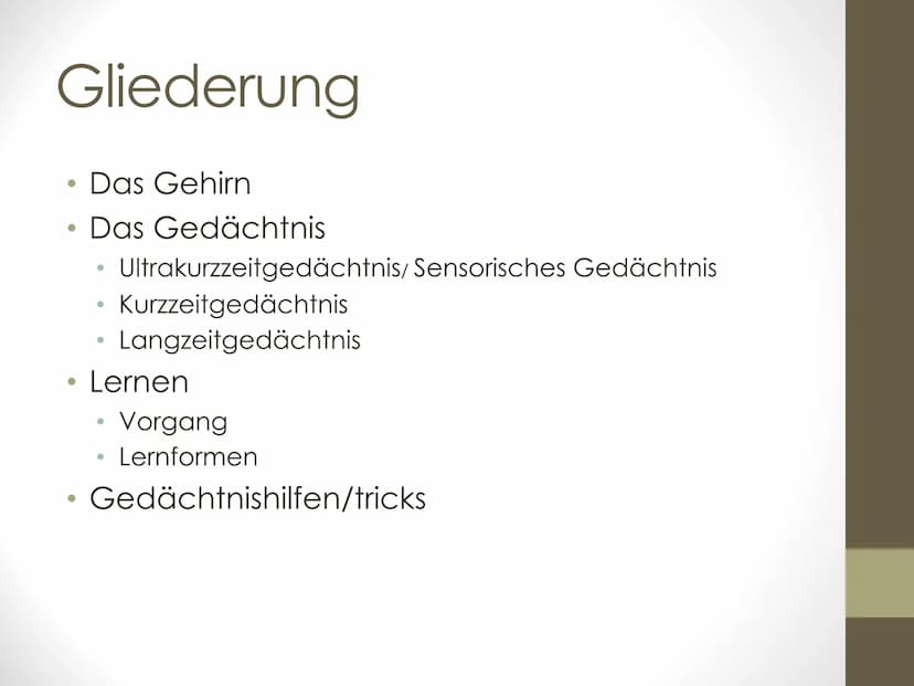 GFS Biologie
Das Gehirn:
➤ Milliarden
Nervenzellen
und Billionen
Synapsen
bilden Netzwerk
aus Information
und
Kommunikation
In vier Bereiche