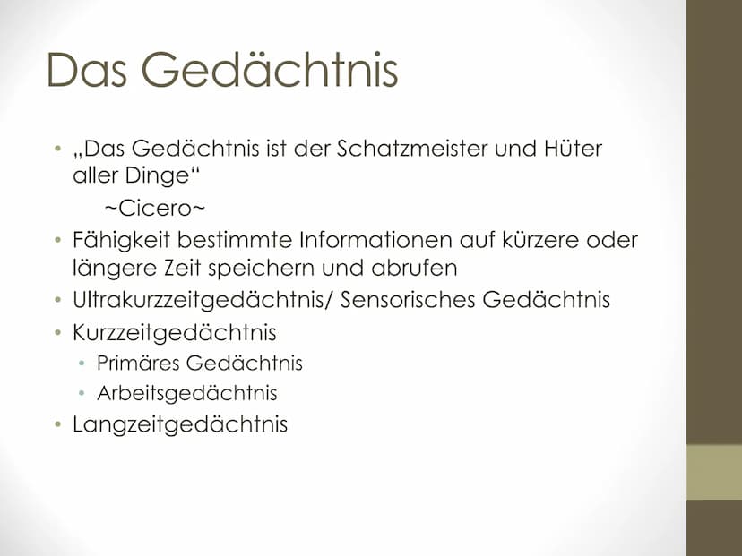 GFS Biologie
Das Gehirn:
➤ Milliarden
Nervenzellen
und Billionen
Synapsen
bilden Netzwerk
aus Information
und
Kommunikation
In vier Bereiche