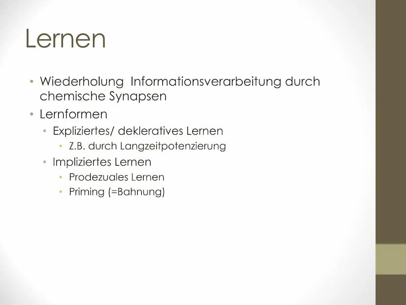 GFS Biologie
Das Gehirn:
➤ Milliarden
Nervenzellen
und Billionen
Synapsen
bilden Netzwerk
aus Information
und
Kommunikation
In vier Bereiche
