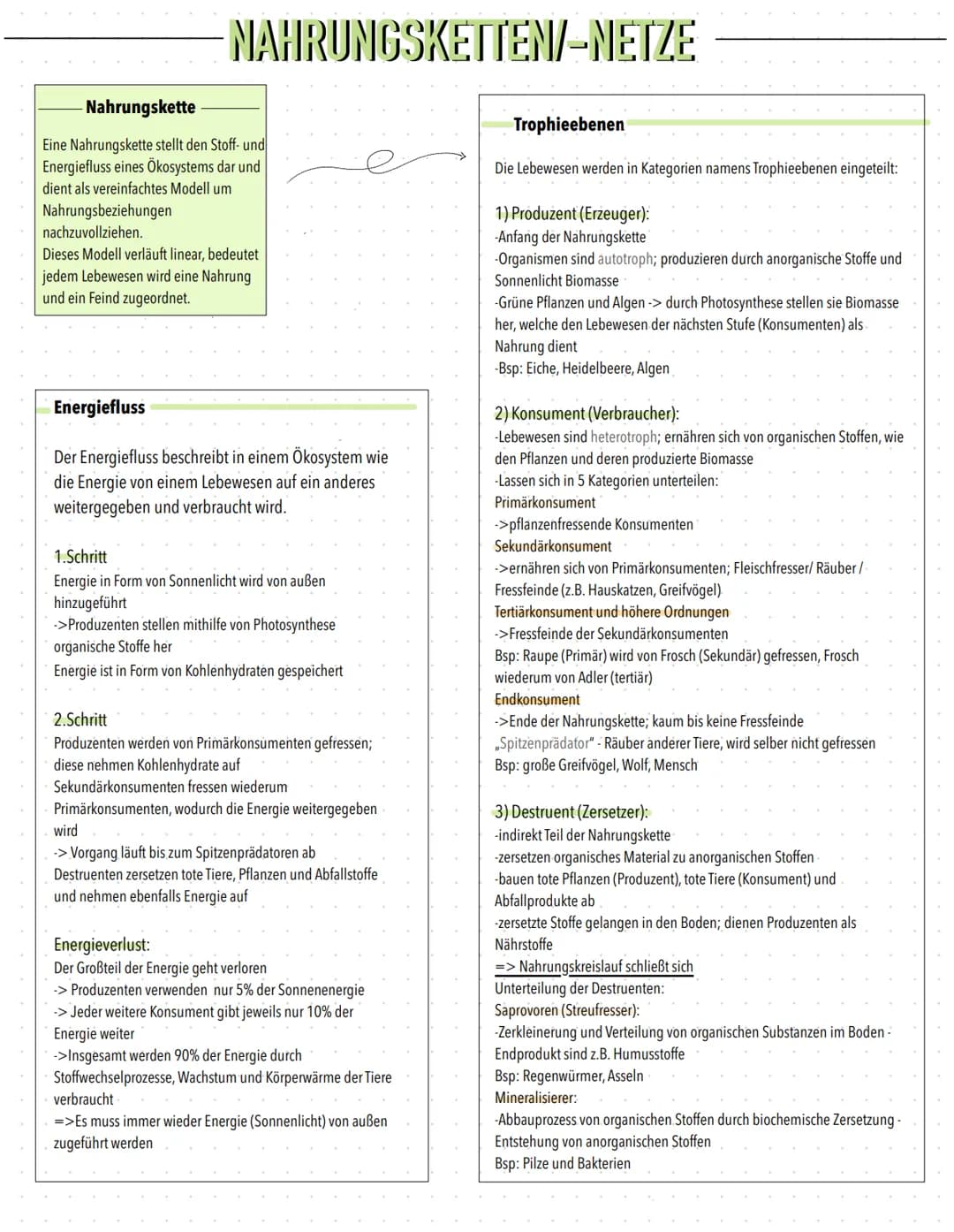 NAHRUNGSKETTEN/-NETZE
- Nahrungskette
Eine Nahrungskette stellt den Stoff- und
Energiefluss eines Ökosystems dar und
dient als vereinfachtes