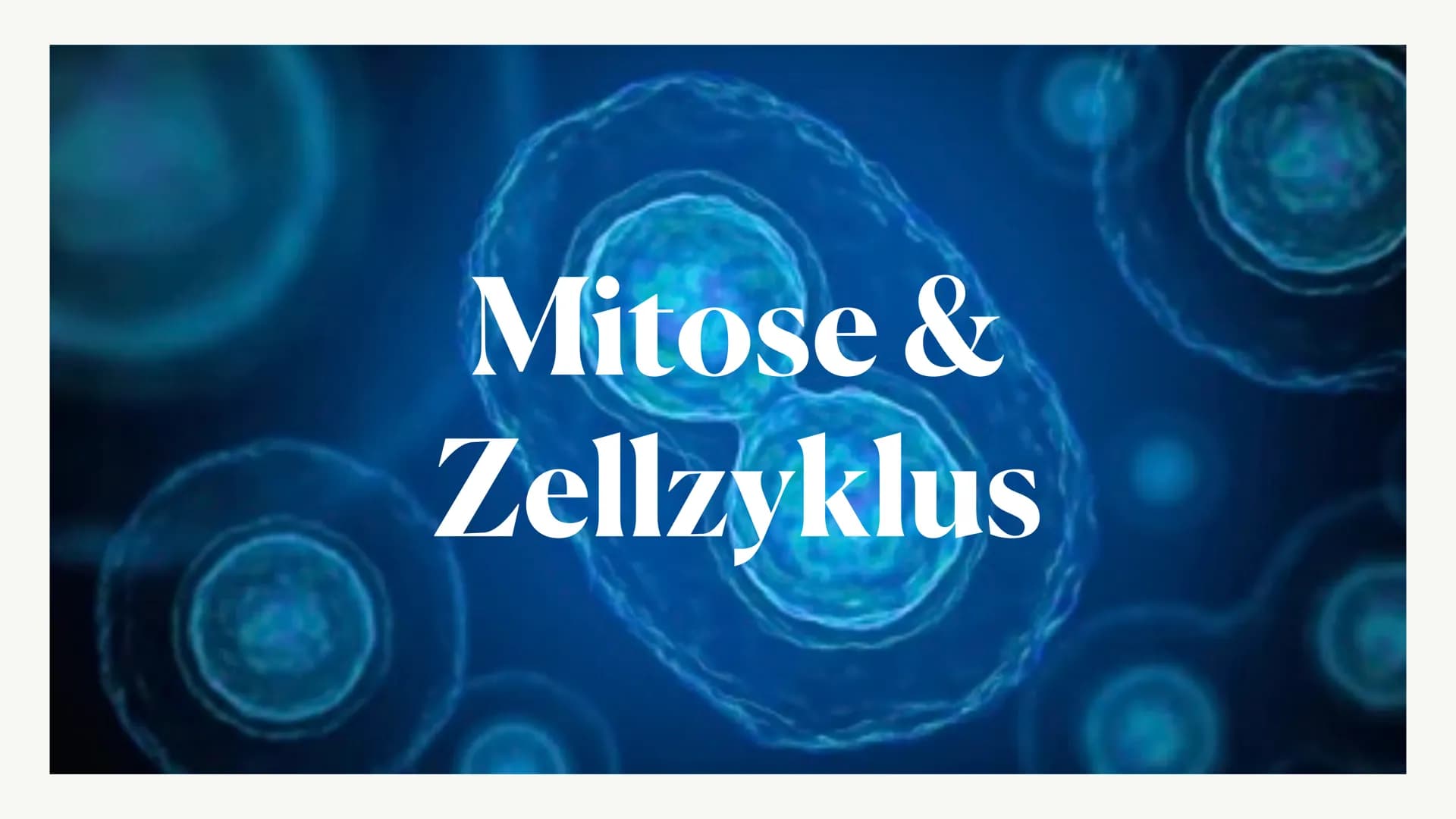 Mitose &
Zellzyklus ●
●
G1-Phase
• -> S-Phase
●
●
Zellzyklus
Interphase
●
G2-Phase
Was ist die Mitose
Phasen der Mitose
• -> Prophase
●
• ->