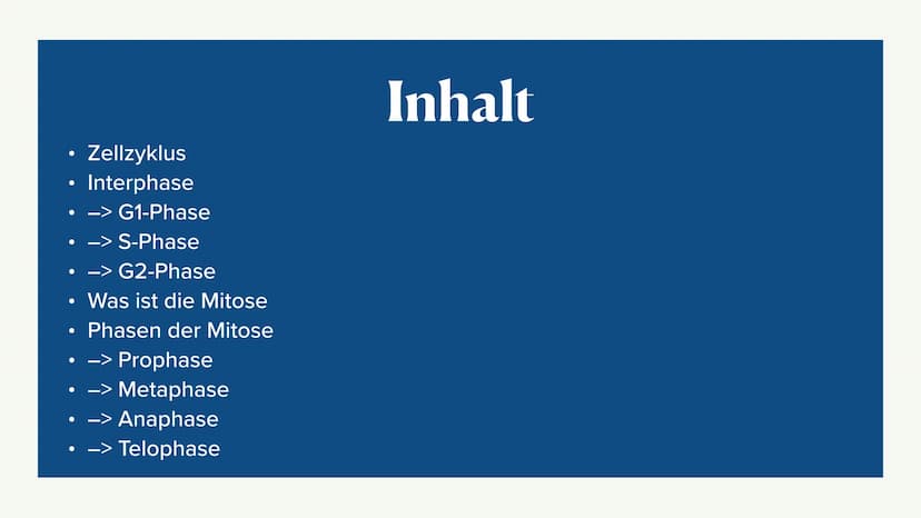 Mitose &
Zellzyklus ●
●
G1-Phase
• -> S-Phase
●
●
Zellzyklus
Interphase
●
G2-Phase
Was ist die Mitose
Phasen der Mitose
• -> Prophase
●
• ->