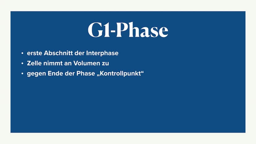 Mitose &
Zellzyklus ●
●
G1-Phase
• -> S-Phase
●
●
Zellzyklus
Interphase
●
G2-Phase
Was ist die Mitose
Phasen der Mitose
• -> Prophase
●
• ->