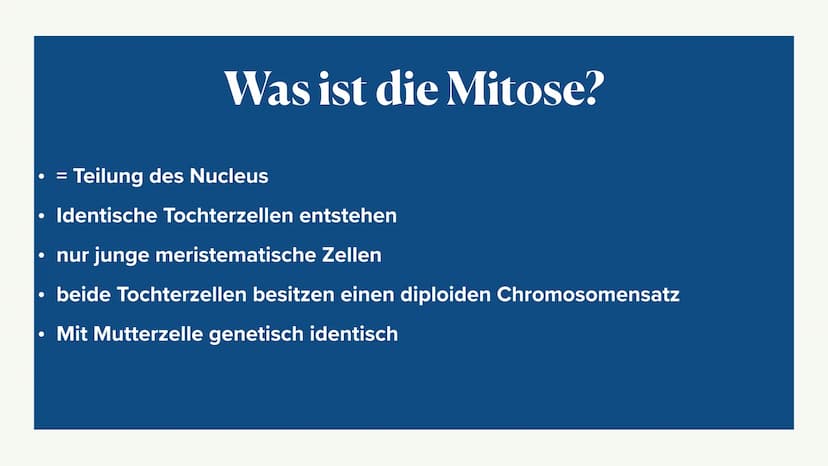 Mitose &
Zellzyklus ●
●
G1-Phase
• -> S-Phase
●
●
Zellzyklus
Interphase
●
G2-Phase
Was ist die Mitose
Phasen der Mitose
• -> Prophase
●
• ->