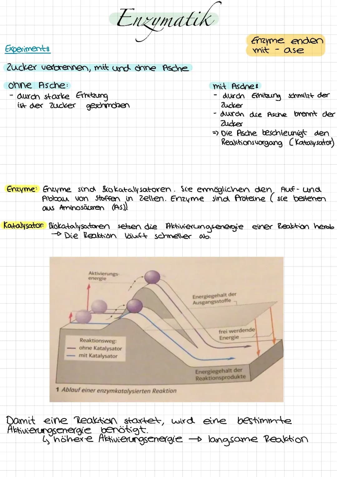 Enzymatik 