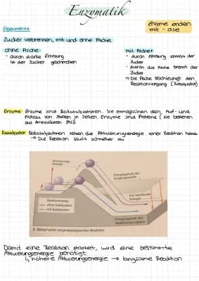 Know Enzymatik  thumbnail